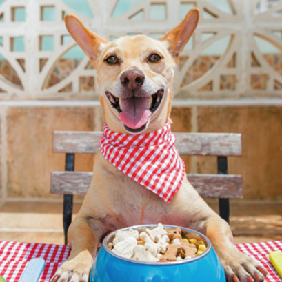 สูตรอาหารตามช่วงอายุ (Nutrition)